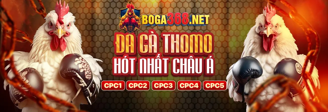 Tính Năng Ứng Dụng abc8 game